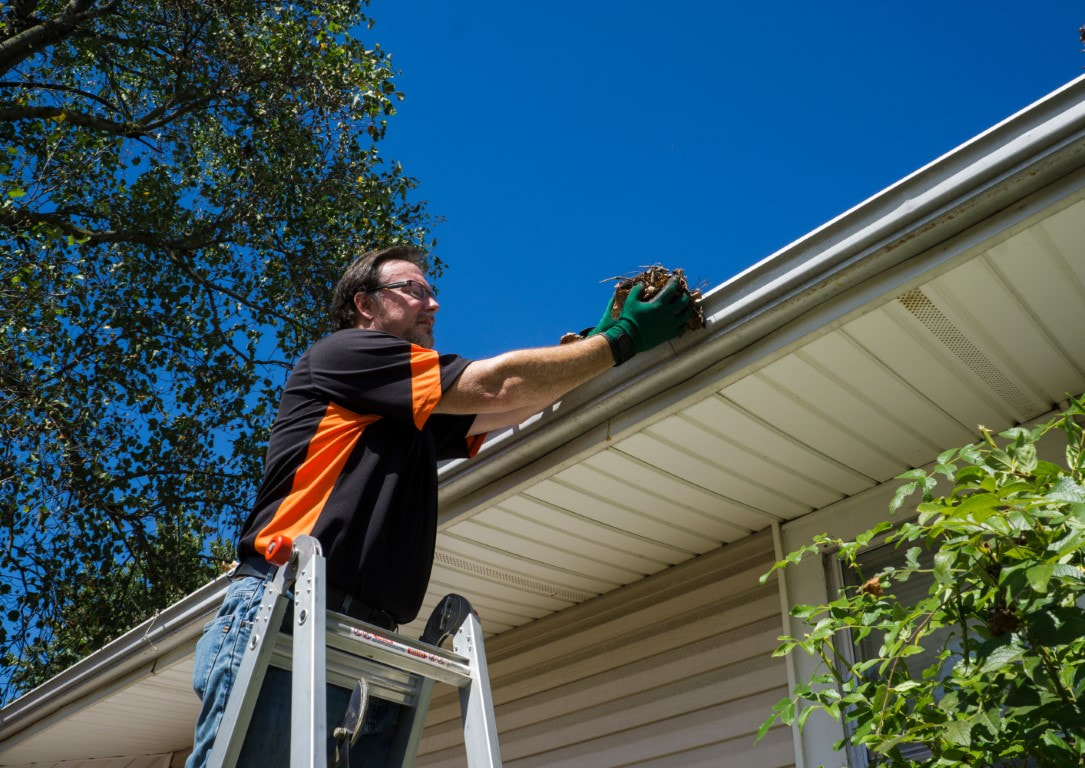 gutter cleaning services near me

