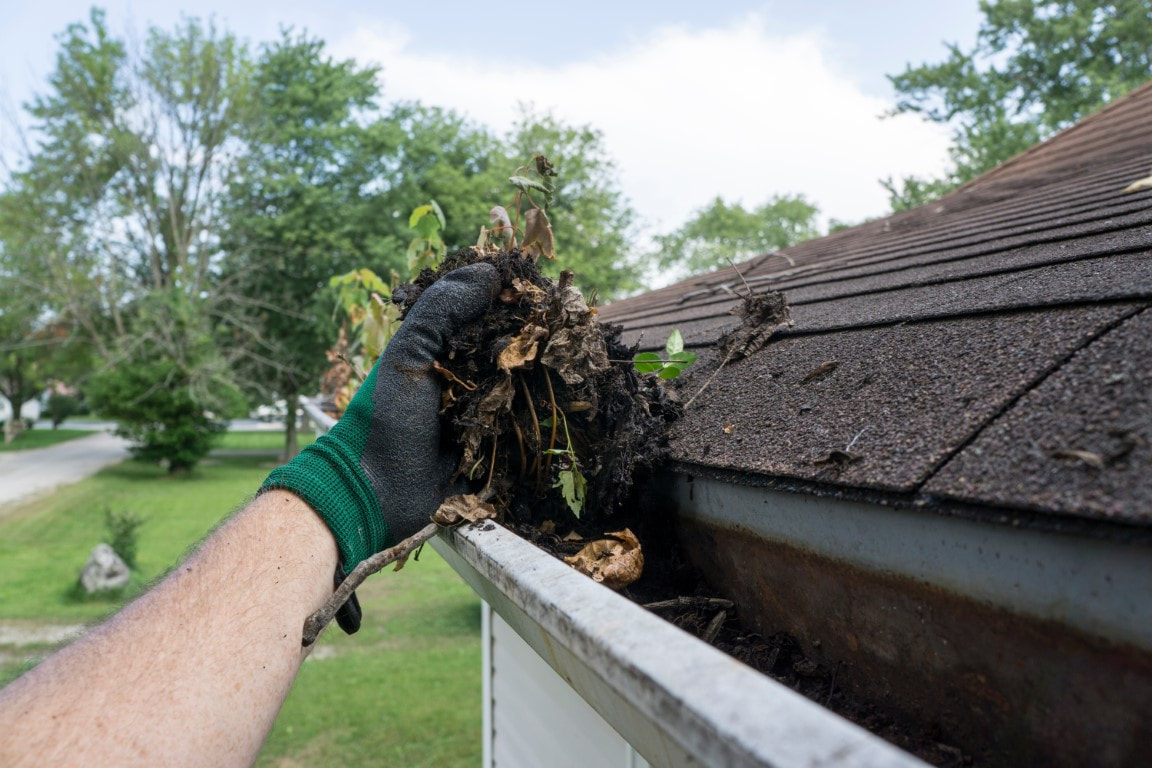 roof gutter cleaning
